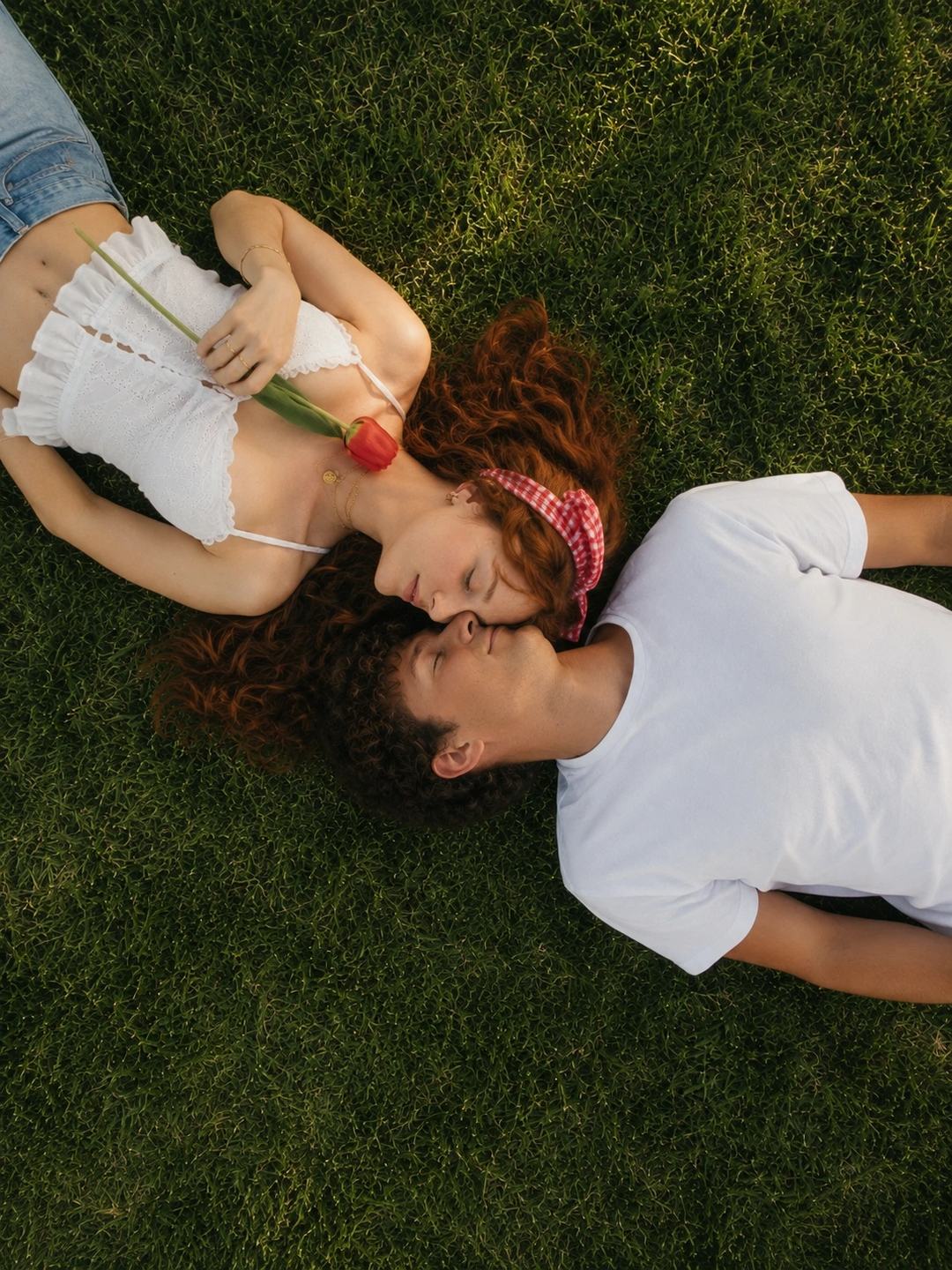 Overhead Grass Couple – Gemini AI Photo Prompt, image 1
