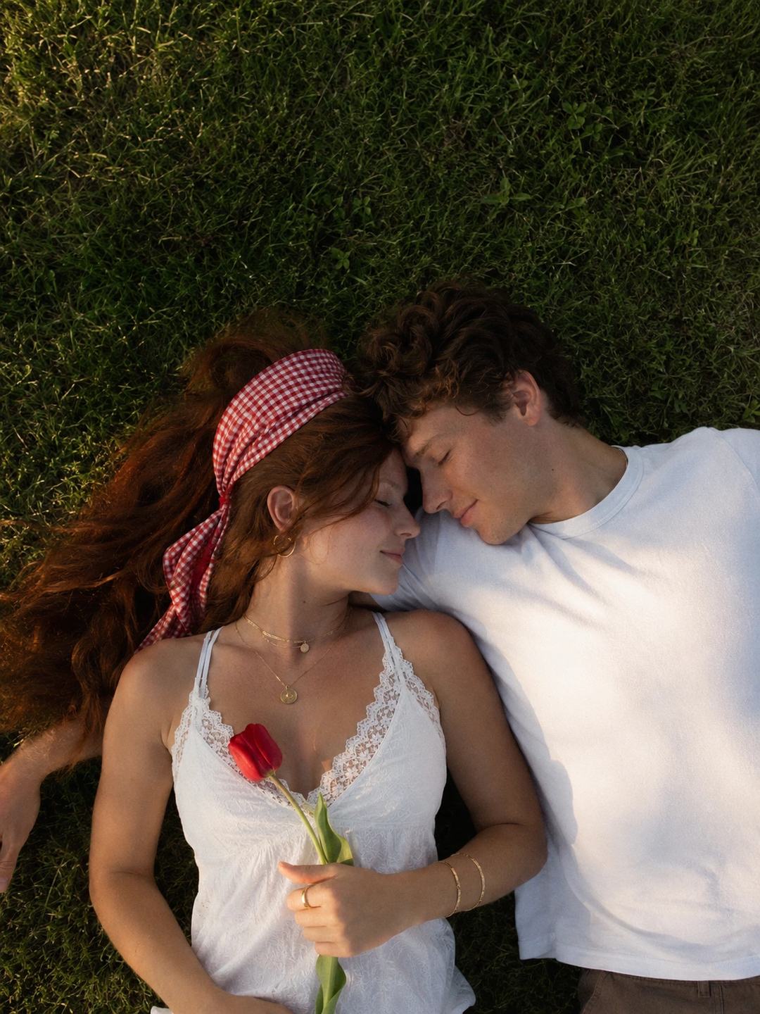 Overhead Grass Couple – Gemini AI Photo Prompt, image 3