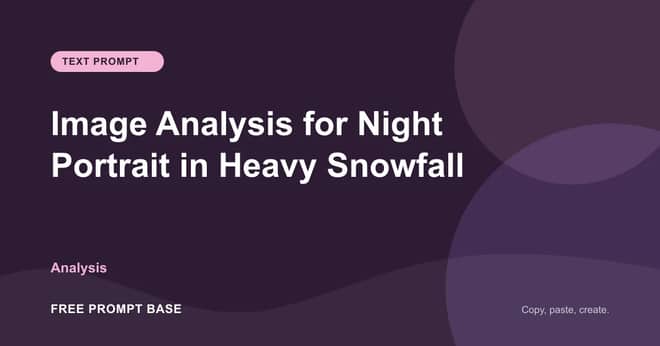 Image Analysis for Night Portrait in Heavy Snowfall AI prompt cover